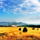 바람이불어오는곳 이미지