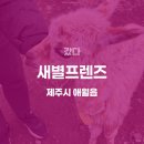 평화로(배무기버스정류장) | [제주여행 7] 새별프렌즈 후기, 꿀팁, 요금(feat.동물 친구들과 가장 가까이서 만날 수 있는 곳)