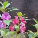 귀연공인중개사사무소 이미지