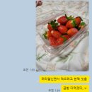 우물청과 | 딸기 구매 대성공한 후기 ｜미가청과 딸기 구매후기