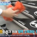 고일태권도