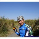 뚝길따라 이미지