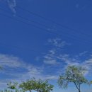 영인면 영인로 이미지