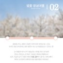 창녕군 영산시외버스터미널 이미지