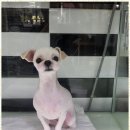 오키독키 이미지