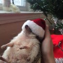 에코동물병원 이미지