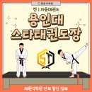 용인대스타태권도 이미지