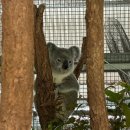 웜벳동물병원 이미지