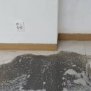 진천동행정복지센터 이미지