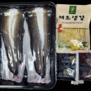 싱싱장어 이미지