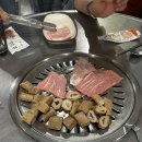 이지비야 이미지