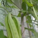 성채농장 이미지