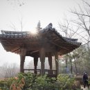 서천근린공원 이미지