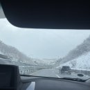 구기자 우렁쌈밥