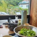 가야손칼국수