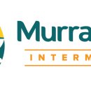 베이(BAY)7 이미지