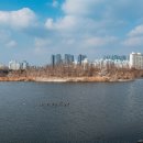 서호공원 이미지