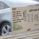 심학산도토리 국수 이미지