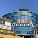 진성반점 - 진주시 동부로 1348 | 제주 고추짬뽕 맛집 진성반점 | 엽떡러가 인정한 매운맛