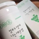 아웃고잉푸드