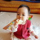 유경중기