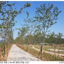 진위천 방아리 이미지