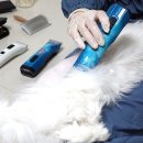 골골탬버린클럽 이미지