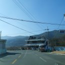 오리들2길 이미지