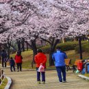 연지공원 이미지