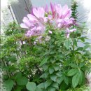 꽃들어린이집 이미지