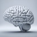 경기도 수원시 영통구 월드컵로 이미지