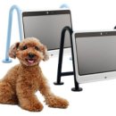 플레이독스 이미지