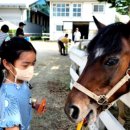 궁평항로 이미지