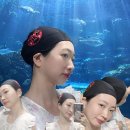 메쉬주 | 나이브다이브 복실이 자수 메쉬 수모 구매 후기 (실리콘 수모 비교 추천)