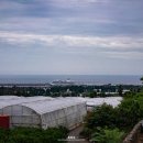 엉또고깃집 이미지