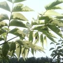 고향농장 이미지