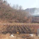 홍정농장 이미지