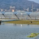 병조농장 이미지