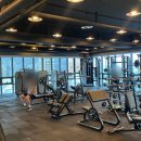 DM헬스클럽 이미지