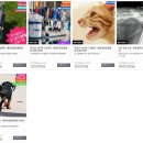 마이펫종합동물병원 이미지