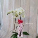 새서울DMC약국 이미지