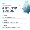 알파강남