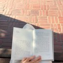 돈보스코유치원 | 📖1월 책장 [나를채우는일상철학/성찰/페스트/타력/고래/이방인/이른아침나를기억하라/당신의이름은사랑]