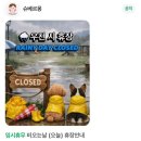 카페슈 | [공지] [파주] 대형 반려견 카페, 슈베르몽 가오픈 방문 후기 주말 오후 웨이팅