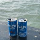 수약국 | 목포 배낚시 후기 | 초보도 도다리 잡고 온 신세계갈치낚시