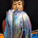 삼일낚시 이미지