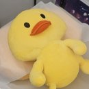셀라왁싱 이미지