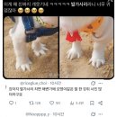 야야식당 | [속초 애견동반 맛집추천] 강아지와 2박3일 속초여행 후기