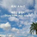 제주올리브 - 제주시 해맞이해안로 2486-23 | 제주올리브