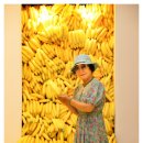 여행스케치유